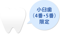 小臼歯（4番・5番）限定